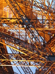 SX18663 Detail of lit up Eiffel tower at dusk.jpg